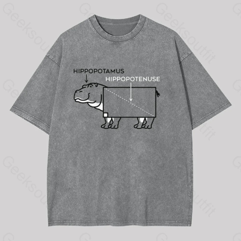 Hippopotamus And Hypotenuse Geek Washed T-shirt